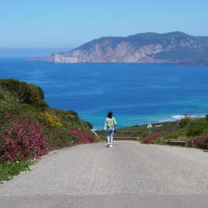 Del Viale , Bacu Abis Italia